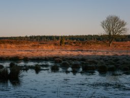 imgp5878_kold_morgen